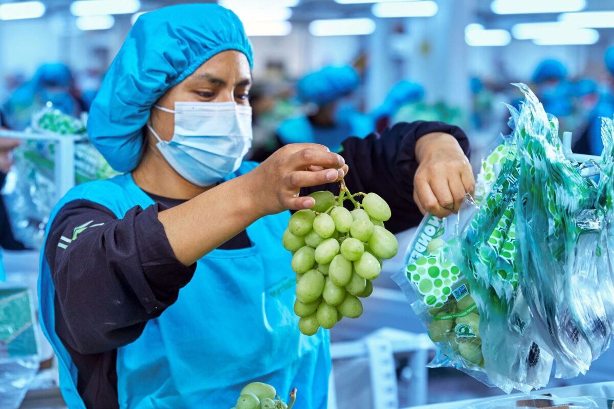 Agroexportaciones peruanas crecen 24 %