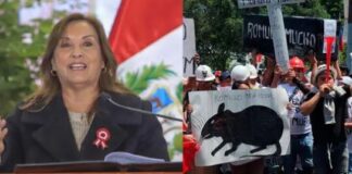 Dina Boluarte minimiza protesta de mineros