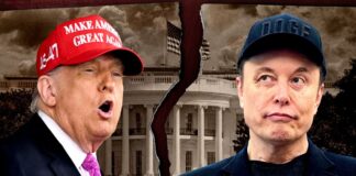 Donald Trump y Elon Musk