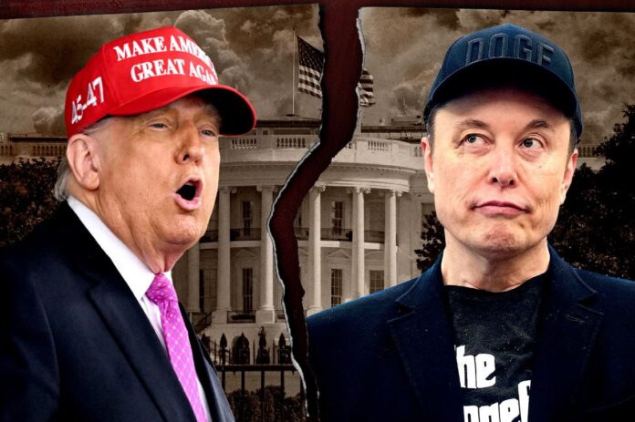 Donald Trump y Elon Musk