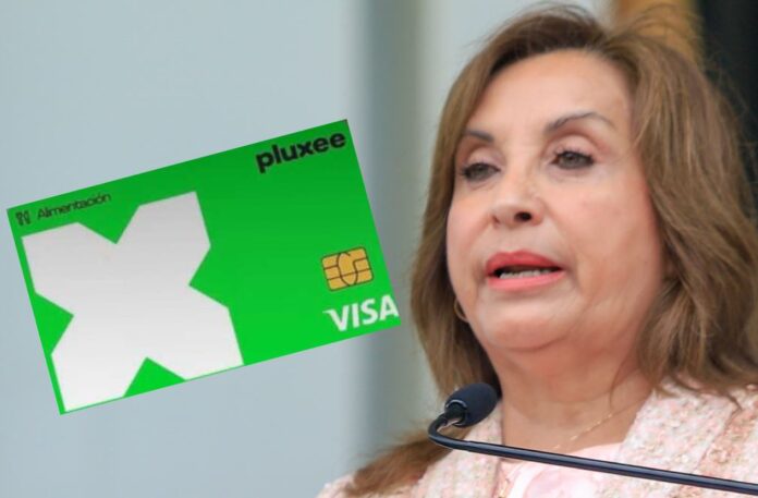 Niegan que Dina use tarjeta