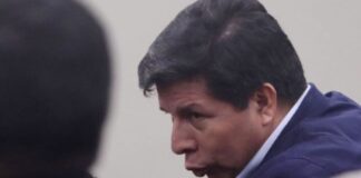 Pedro Castillo Terrones