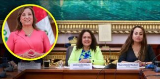 Salvan cuello a Dina Boluarte