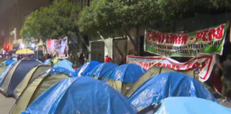 Mineros informales anuncian protestas tras rechazo de Ley MAPE Mineros informales anuncian protestas tras rechazo de Ley MAPE