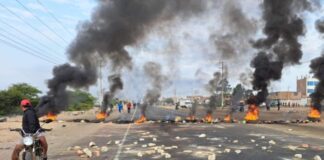 Asociación Automotriz del Perú exige al Gobierno liberar carreteras