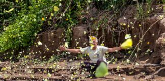 Madre de Dios: nuevo modelo de ecoturismo impulsa la protección de la biodiversidad en la Amazonía