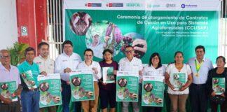 Perú conserva 6,670 hectáreas de bosques amazónicos