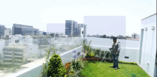 ¿Qué plantas poner para huerto o jardín urbano en el balcón