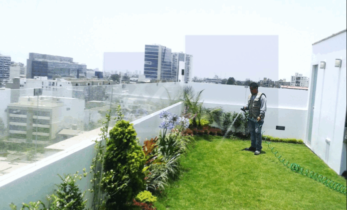 ¿Qué plantas poner para huerto o jardín urbano en el balcón ¿Qué plantas poner para huerto o jardín urbano en el balcón