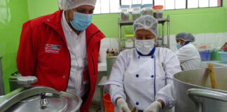 Gobierno crea el PAE en reemplazo de Wasi Mikuna
