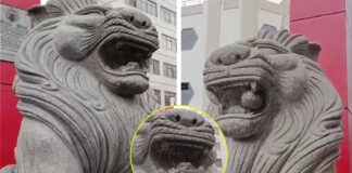 Delincuentes roban dientes y esfera de Leones Fu del Barrio Chino
