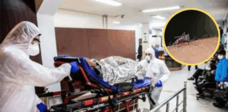 China en alerta por el brote de Chikungunya