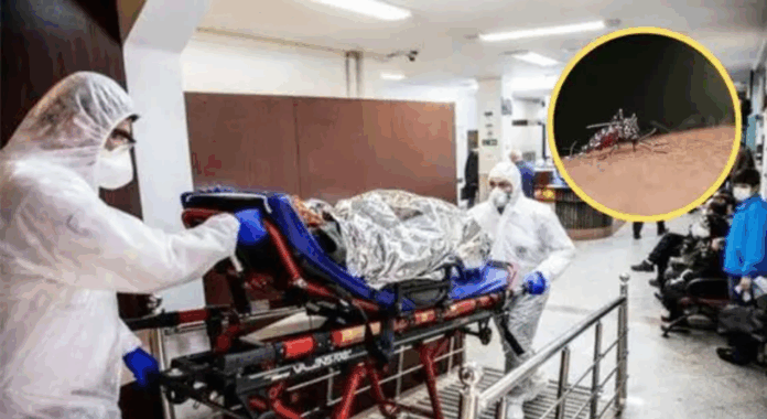 China en alerta por el brote de Chikungunya