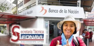 Fonavistas