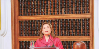 Dina Boluarte viajará a Japón e Indonesia Dina Boluarte viajará a Japón e Indonesia