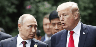 Putin y Trump se reunirán alto al fuego en Ucrania