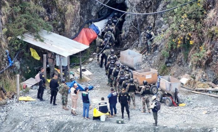 Operativos del CUPAZ deja pérdidas millonarias al crimen organizado