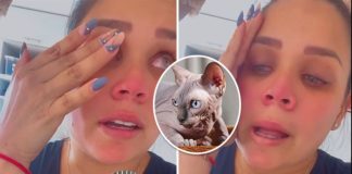 Andrea San Martín niega haber matado a su gatito