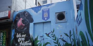 San Borja adopta mascotas  con “Iluminando Vidas”