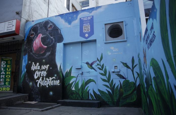 San Borja adopta mascotas  con “Iluminando Vidas”