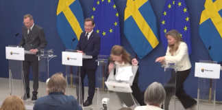 Se desmaya,Elisabet Lann, ministra de salud en Suecia