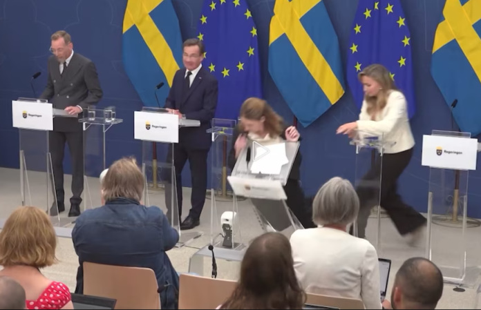 Se desmaya,Elisabet Lann, ministra de salud en Suecia