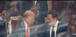 Trump y Musk se amistan de nuevo