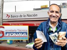 Fonavistas