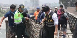 Hallan cadáveres maniatados en Santa Clara