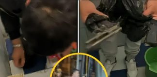 Intervienen búnker y arrestan a siete