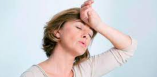 Alimentos que reducen los efectos de la menopausia menopausia