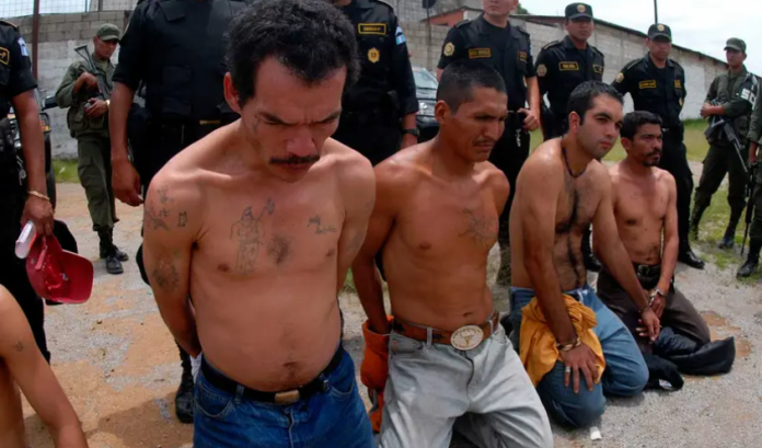 pandilleros pandilleros