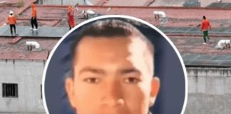 Cayó ‘Pipo’, líder de banda Los Lobos