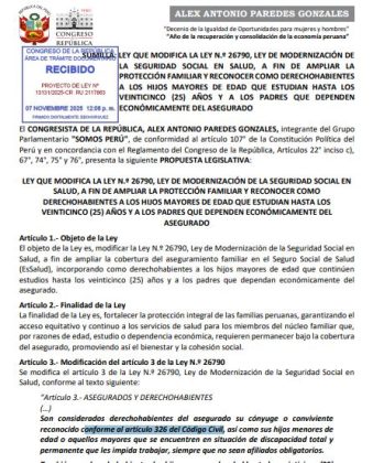 Proyecto de ley N&deg; 13131-2025 (1)