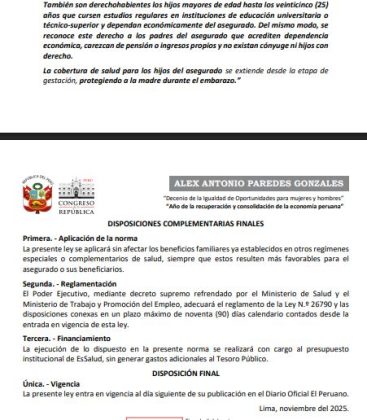 Proyecto de ley N&deg; 13131-2025 (2)