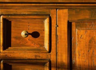 carcoma de la madera