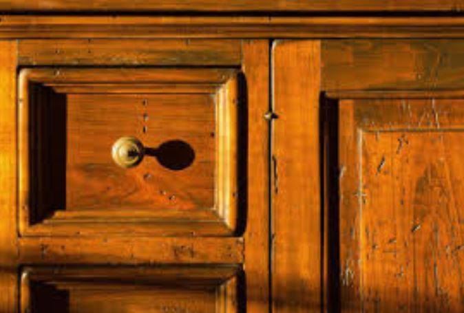 carcoma de la madera carcoma de la madera