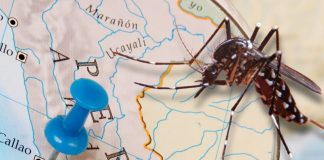 Advierten riesgo de dengue en playas