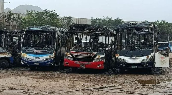 Arden 17 buses en almacén de Ate