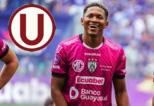 Cremas van por Emerson Pata Emerson Pata