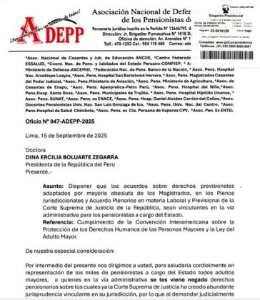 Oficio N&deg; 047 &ndash; ADEPP -2025 (1)