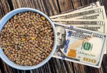 ritual de las lentejas