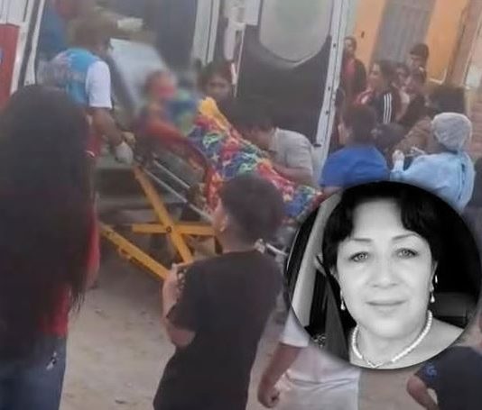 ¿Por qué mataron a Elena Rojas? ¿Por qué mataron a Elena Rojas Alcalde