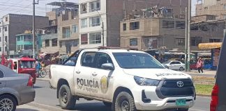 Maleantes aprietan a distribuidora en SJL