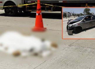Murió atropellada en Vía Expresa de Surco