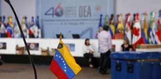 Organización de Estados Americanos (OEA)