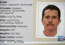 Abaten a narco Nemesio Oseguera Cervantes, alias ‘El Mencho’
