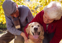 Cómo ayuda una mascota a la salud de un adulto mayor
