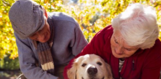 ¿Cómo ayuda una mascota a la salud de un adulto mayor? Cómo ayuda una mascota a la salud de un adulto mayor
