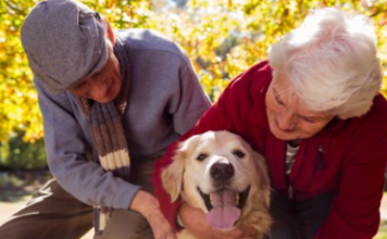 ¿Cómo ayuda una mascota a la salud de un adulto mayor? Cómo ayuda una mascota a la salud de un adulto mayor